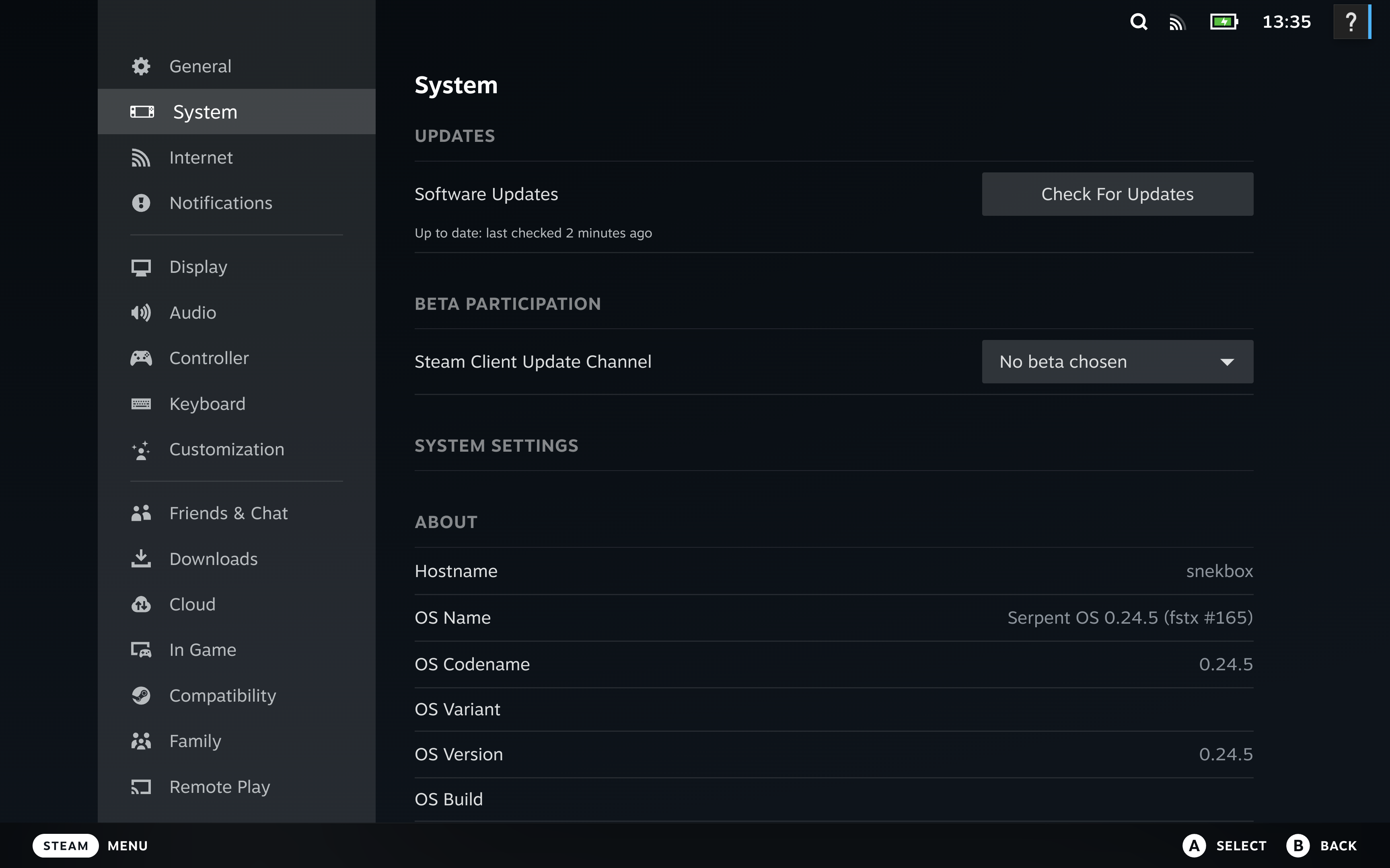 Steam on Serpent OS